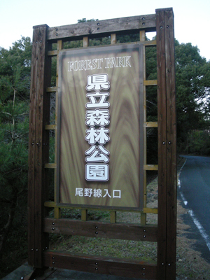 静岡県立森林公園