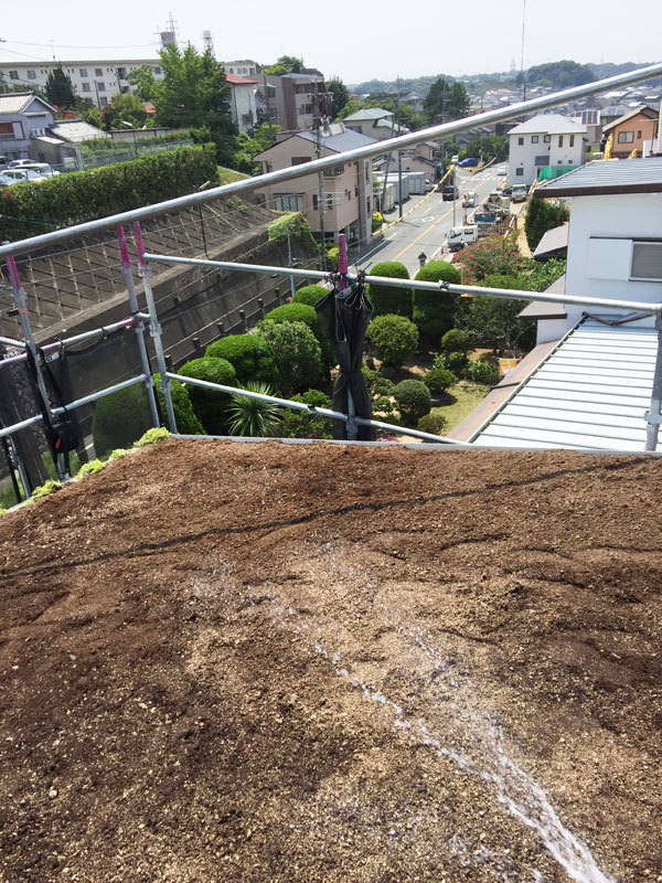 草屋根が出来るまで vol.3 草屋根が出来るまで vol.3
