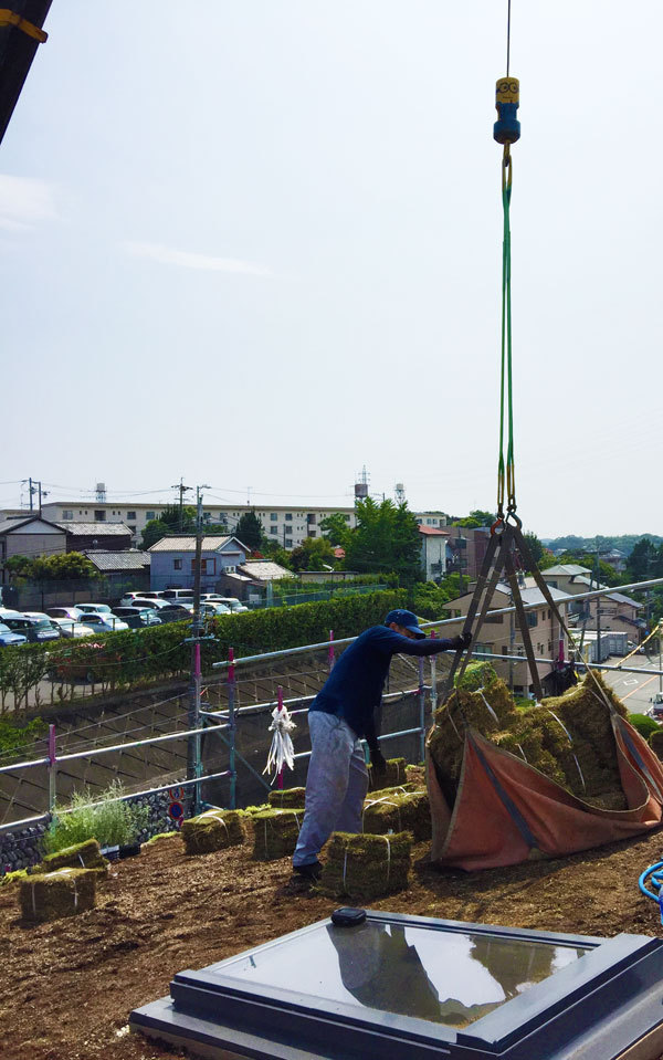 草屋根が出来るまで vol.3 草屋根が出来るまで vol.3