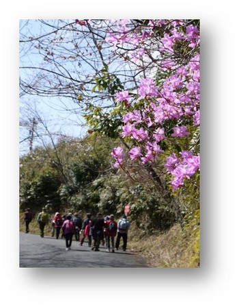 第32回奥山花街道さくらウォーク 開催します 第32回奥山花街道さくらウォーク 開催します