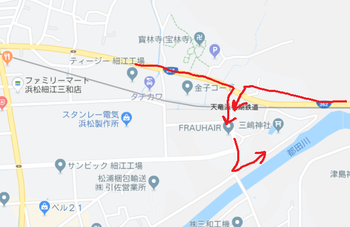 細江・三嶋神社のイチョウの御朱印 細江・三嶋神社のイチョウの御朱印
