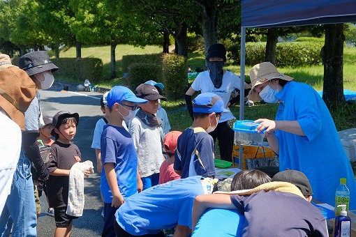 夏休みは田んぼで生き物観察! 夏休みは田んぼで生き物観察!