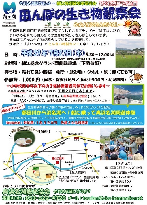 田んぼの生き物観察会、今年も実施します! 田んぼの生き物観察会、今年も実施します!