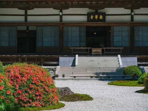 龍潭寺さんのさつきが見ごろです 龍潭寺さんのさつきが見ごろです