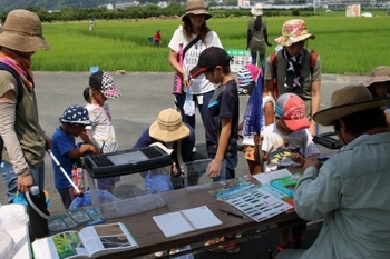 田んぼの生き物観察会、今年も実施します! 田んぼの生き物観察会、今年も実施します!