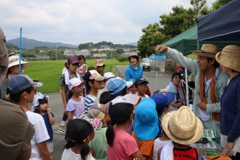 田んぼの生き物観察会、今年も実施します! 田んぼの生き物観察会、今年も実施します!