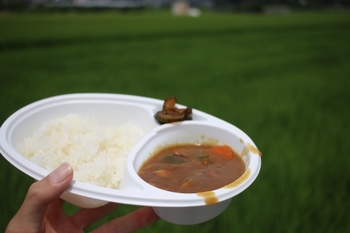 田んぼの生き物観察会、今年も実施します! 田んぼの生き物観察会、今年も実施します!