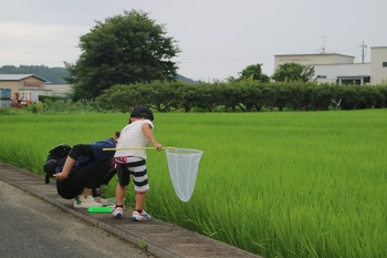 田んぼの生き物観察会を開催しました 田んぼの生き物観察会を開催しました
