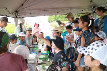 田んぼの生き物観察会を開催しました 田んぼの生き物観察会を開催しました