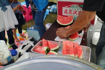 田んぼの生き物観察会を開催しました 田んぼの生き物観察会を開催しました