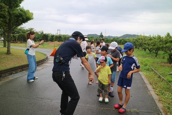 田んぼの生き物観察会を開催しました 田んぼの生き物観察会を開催しました