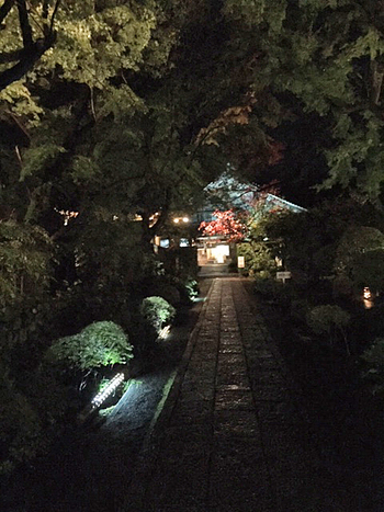 龍潭寺  名勝庭園夜間特別公開に行ってきました