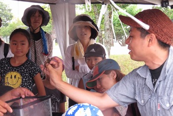 田んぼの生き物観察会を開催しました 田んぼの生き物観察会を開催しました