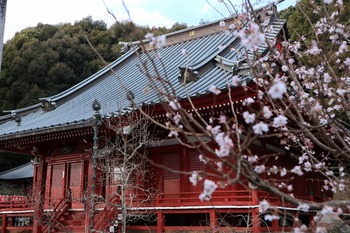 奥浜名湖の初詣情報♪ お寺編 奥浜名湖の初詣情報♪ お寺編