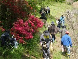 お茶摘みツアーご参加ありがとうございました。