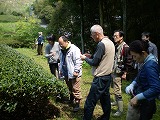 お茶摘みツアーご参加ありがとうございました。