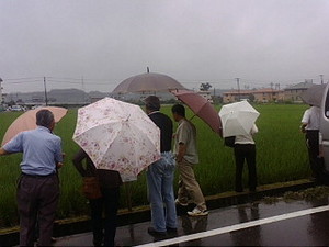 安心感ある食を探す旅