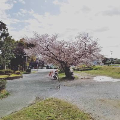 時代の変化が凄いですね! 時代の変化が凄いですね!