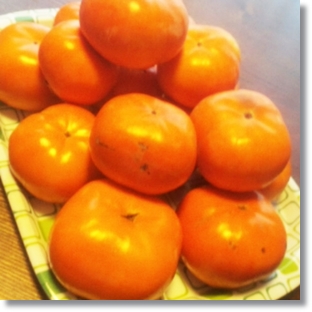 Persimmon