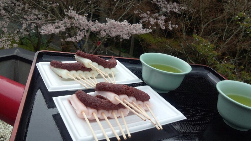 着物着て花見とかどう? 着物着て花見とかどう?