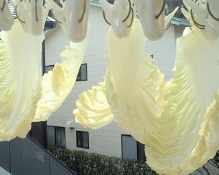 干し白菜ロール