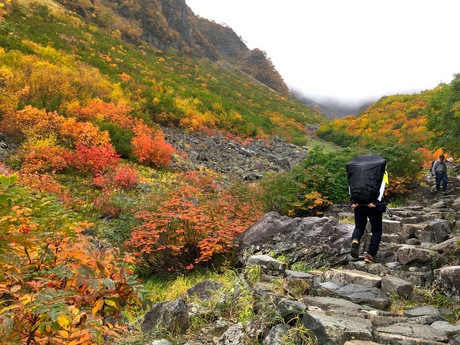 約6時間の登山、涸沢カールの紅葉 約6時間の登山、涸沢カールの紅葉