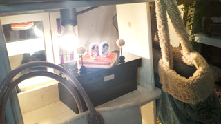 羊毛作品展☆終了 羊毛作品展☆終了