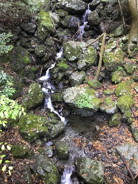 古の京丸集落を想い 古の京丸集落を想い