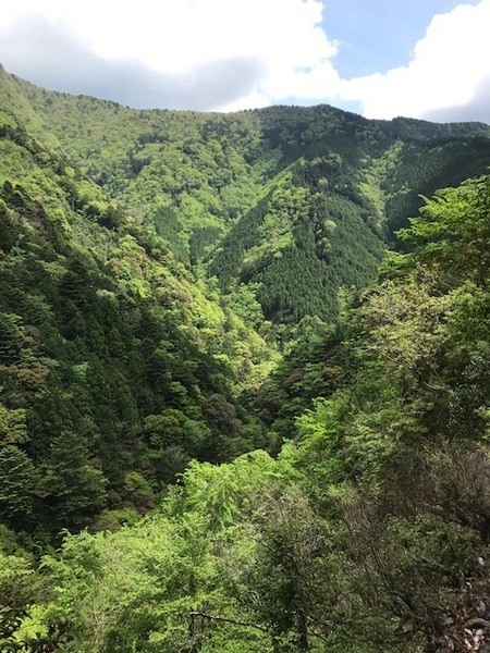 古の京丸集落を想い 古の京丸集落を想い
