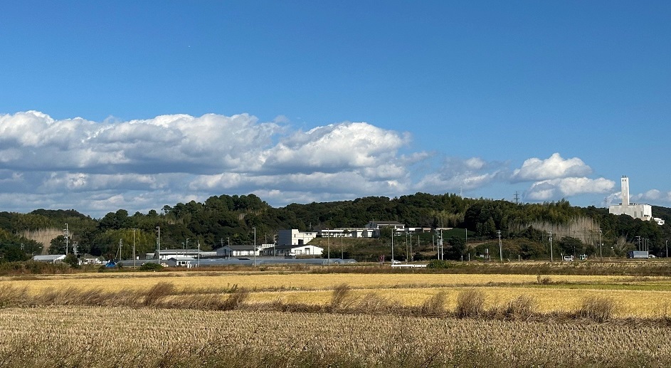 田園かふぇ オアシス 田園かふぇ オアシス