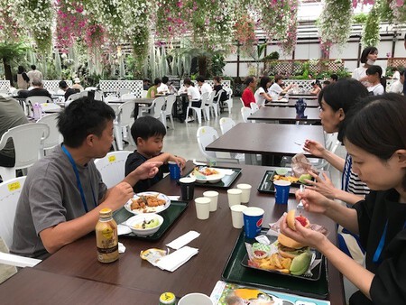 家族で掛川三昧 家族で掛川三昧