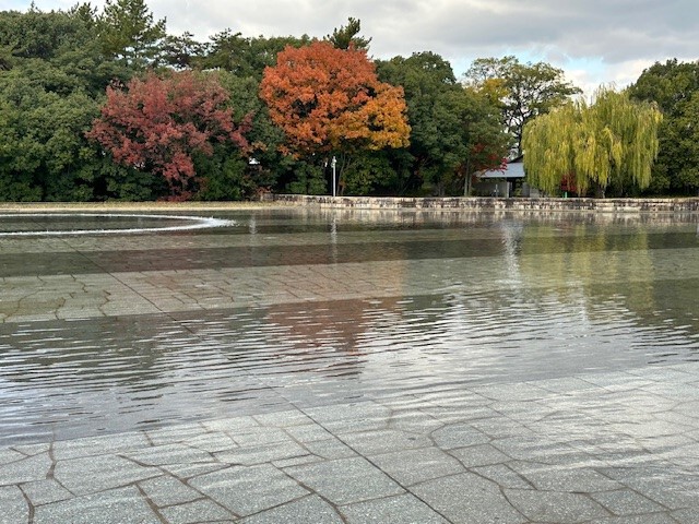 今年の初紅葉 今年の初紅葉