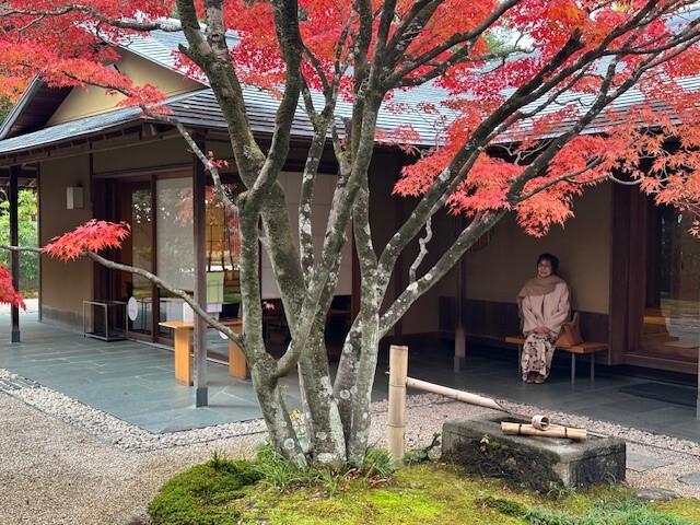今年の初紅葉 今年の初紅葉