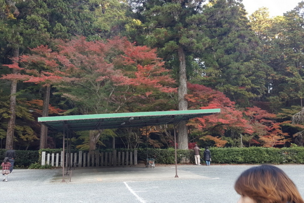 遠州森町の紅葉 遠州森町の紅葉