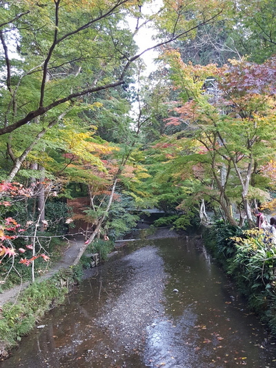 遠州森町の紅葉 遠州森町の紅葉