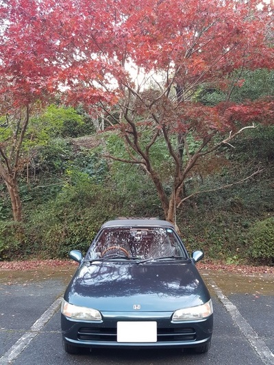 遠州森町の紅葉 遠州森町の紅葉