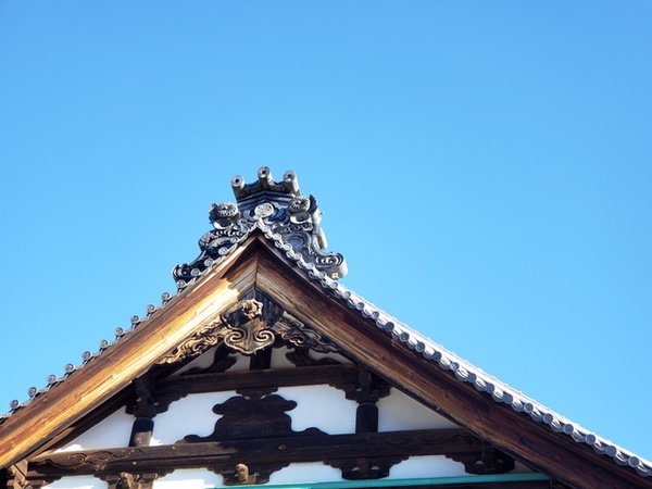 トレッキング in 遠州二山 トレッキング in 遠州二山