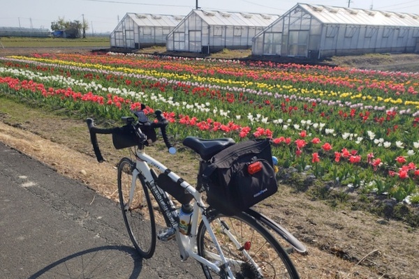 サイクリング in 袋井中南部探訪 サイクリング in 袋井中南部探訪