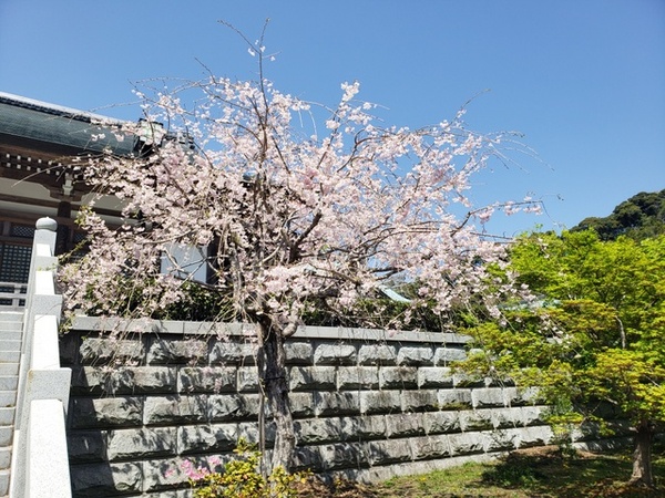 サイクリング in 袋井中南部探訪 サイクリング in 袋井中南部探訪