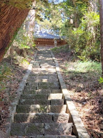 トレッキング in 火剣山 トレッキング in 火剣山