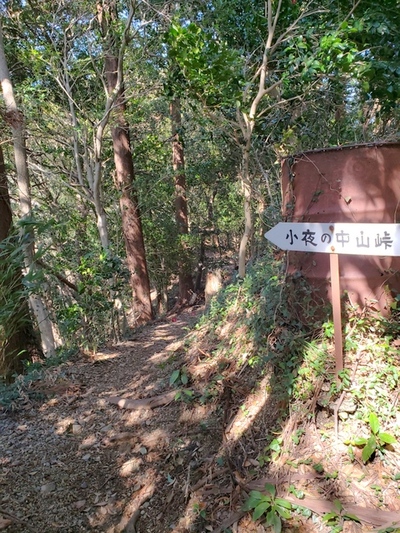 トレッキング in 火剣山 トレッキング in 火剣山