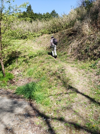 トレッキング in 火剣山 トレッキング in 火剣山