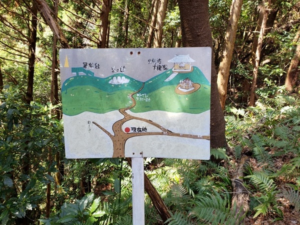 トレッキング in 火剣山 トレッキング in 火剣山