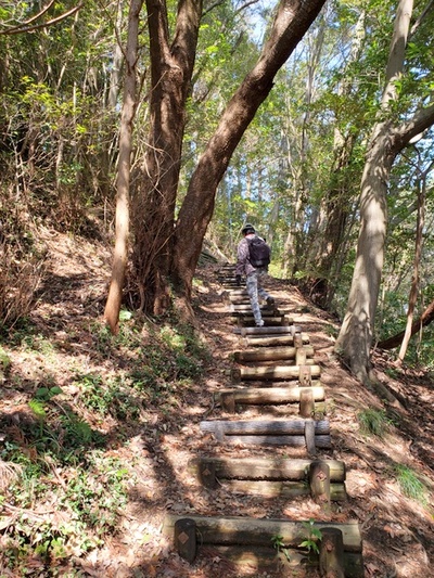 トレッキング in 火剣山 トレッキング in 火剣山