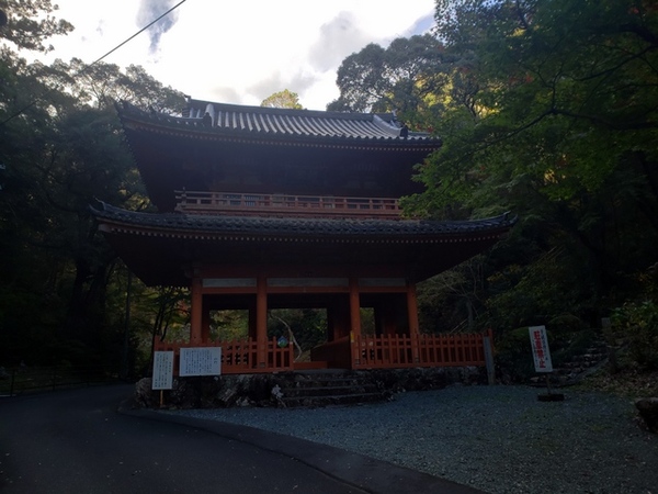 紅葉狩り in 方広寺 紅葉狩り in 方広寺