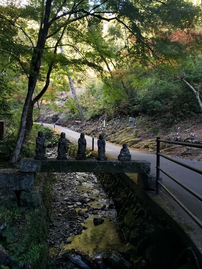 紅葉狩り in 方広寺 紅葉狩り in 方広寺