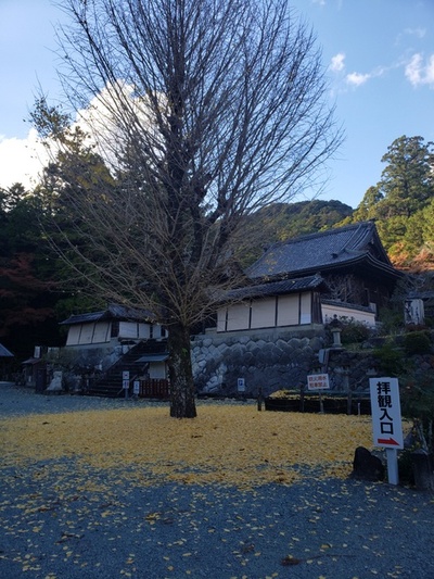 紅葉狩り in 方広寺 紅葉狩り in 方広寺