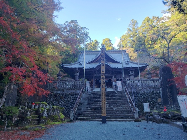 紅葉狩り in 方広寺 紅葉狩り in 方広寺
