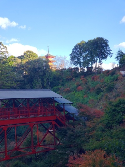 紅葉狩り in 方広寺 紅葉狩り in 方広寺