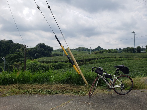 サイクリング in 掛菊川探検 サイクリング in 掛菊川探検